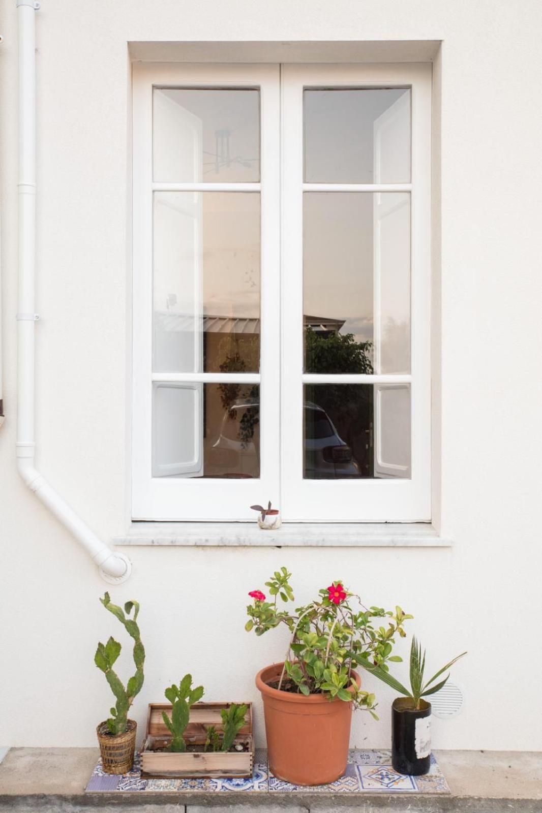 Capo dʼOrlando Glbapartments מראה חיצוני תמונה